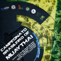 Campeonato Brasileiro 2012