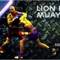 LionFight9
