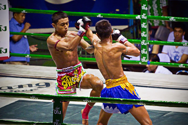 Muay Thai - Punch block