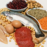 variety-of-protein-sources